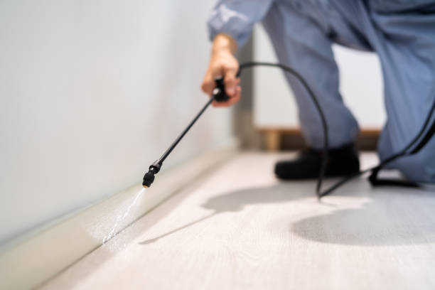 Rodent Entry Point Assessment in Scottsdale