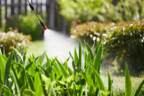 Tamper-Resistant Bait Stations for Rodents in Scottsdale