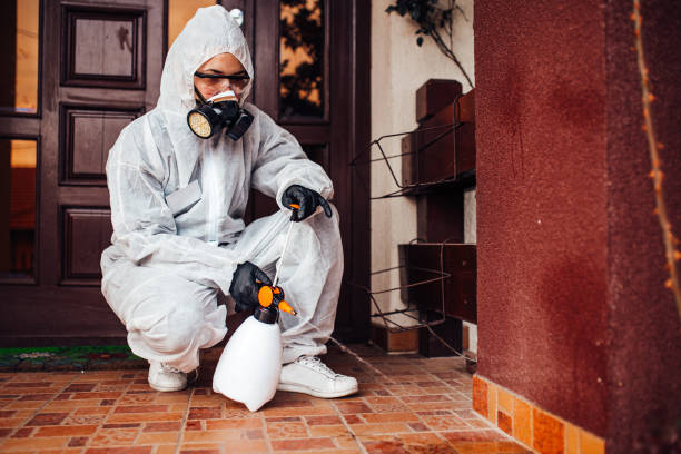 Attic and Crawl Space Rodent Treatment in Scottsdale
