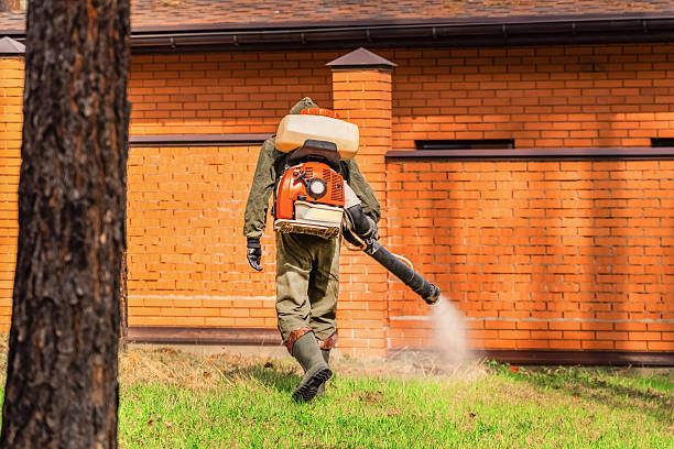 Rodent Follow-Up Monitoring in Scottsdale